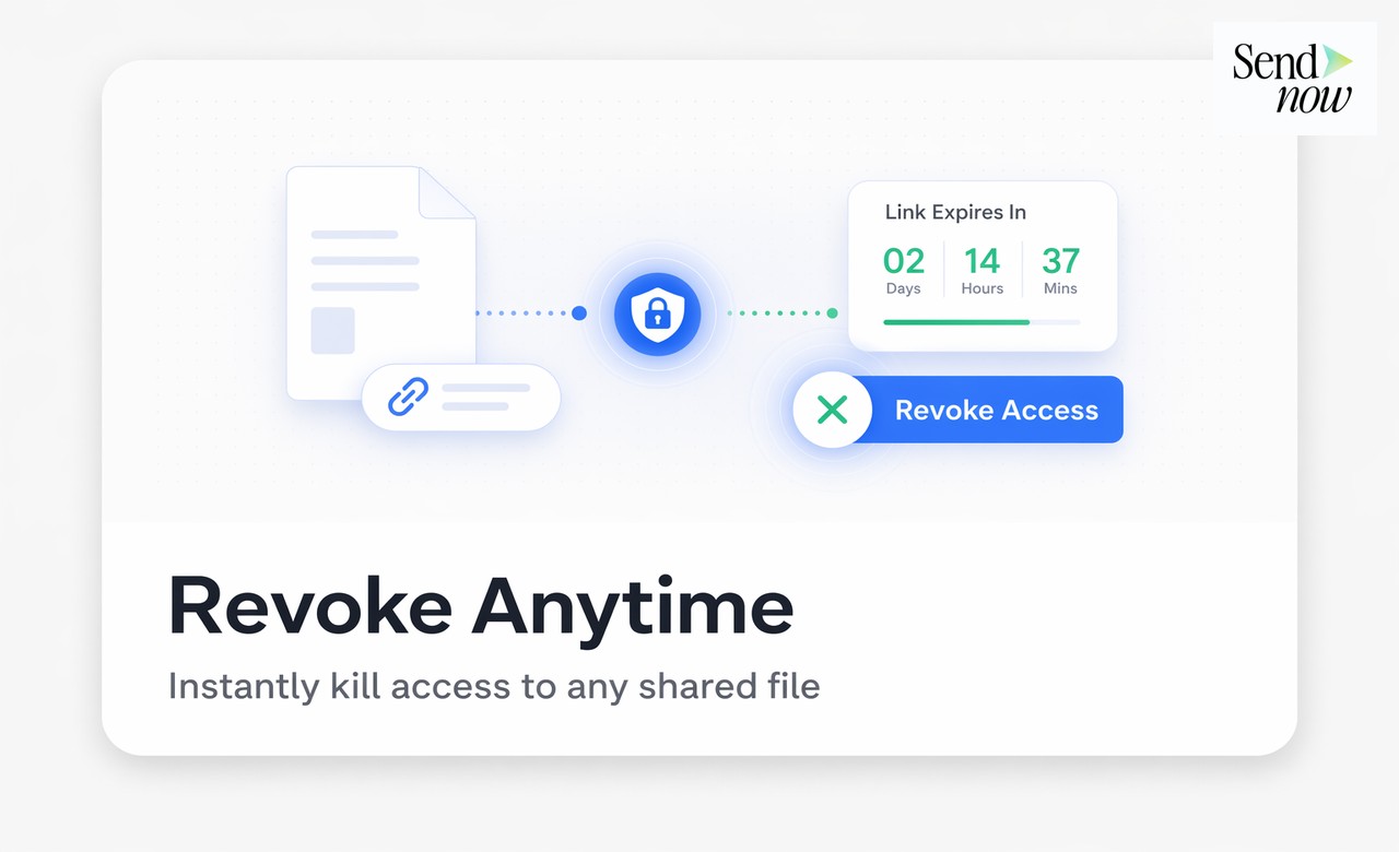 Analytics panel showing viewer details, time opened, completion and location