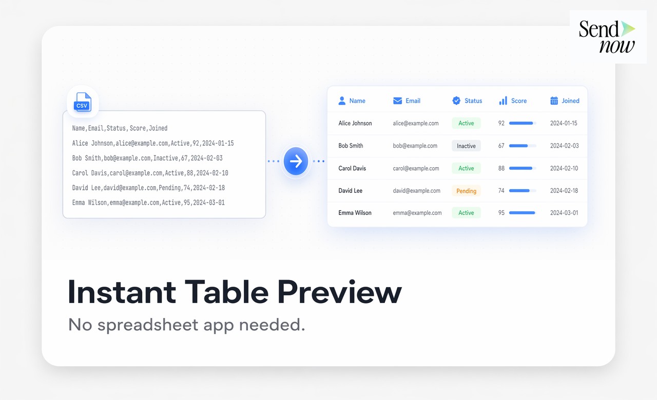 SendNow CSV viewer showing formatted interactive table in browser