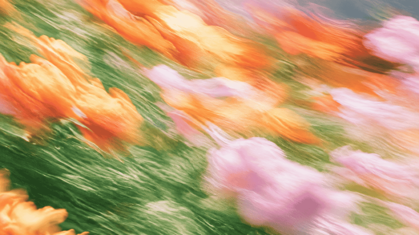 SendNow Support Banner